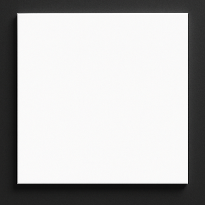 White Vinyl-Faced Ceiling Tiles – Pack of 10